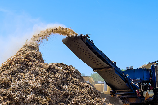 Biomass grinder discharging wood material onto a pile