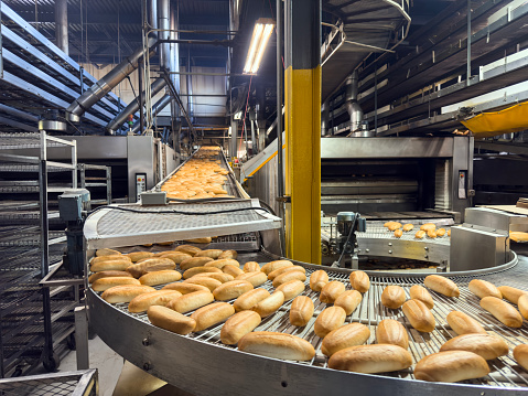 Bread loaves on a bakery production conveyor